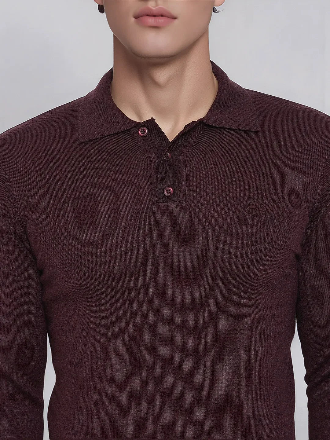 Man in 98degreenorth Men’s Wine Merino Wool Polo Neck Sweater, shown shoulders to mouth, on plain background.