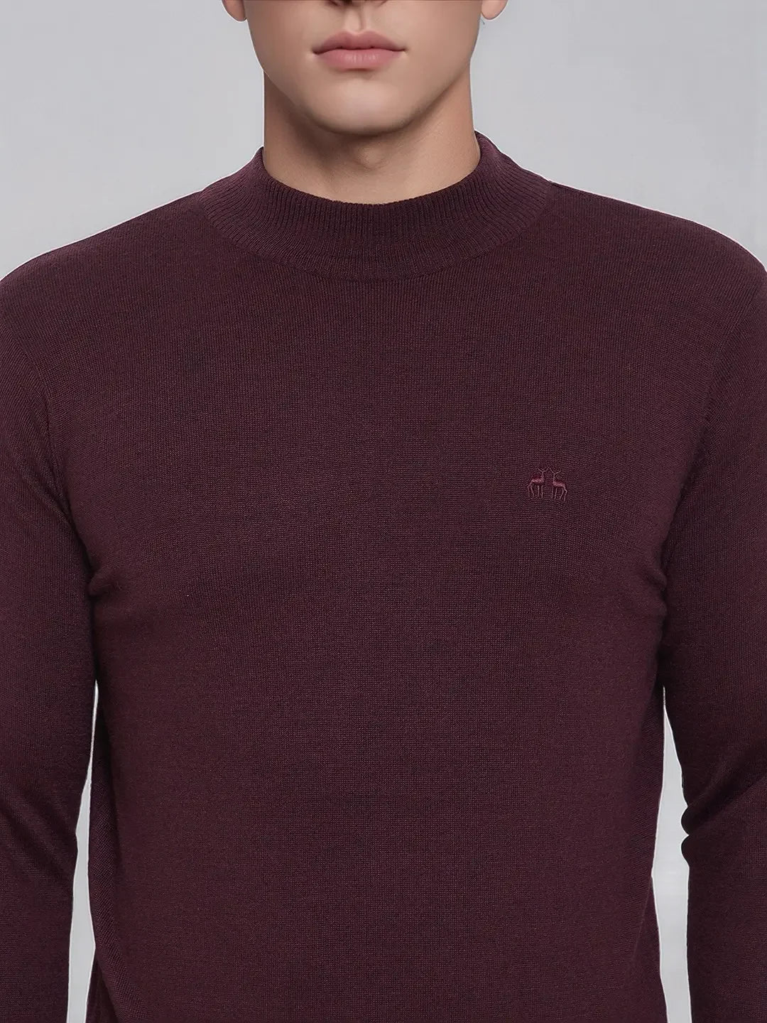 A man wears a 98degreenorth Men’s Wine Merino Wool Turtle Neck Sweater with a small chest logo in India.